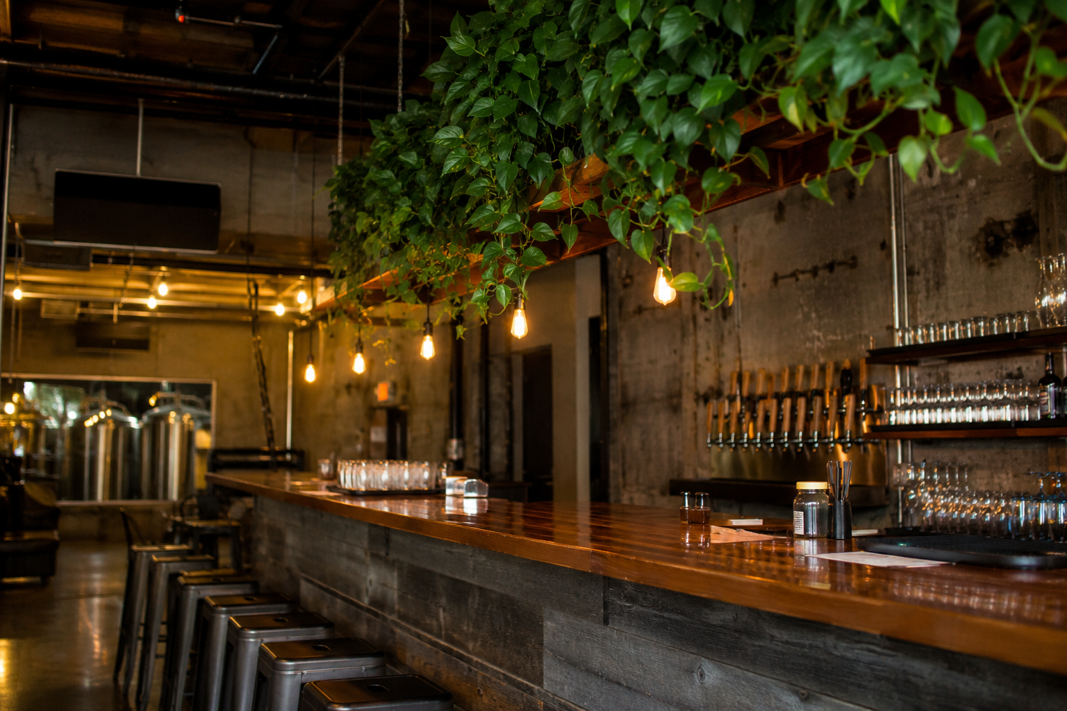 Trailing pothos hanging above a reclaimed wood bar in a Missoula brewery with Edison bulb lighting
