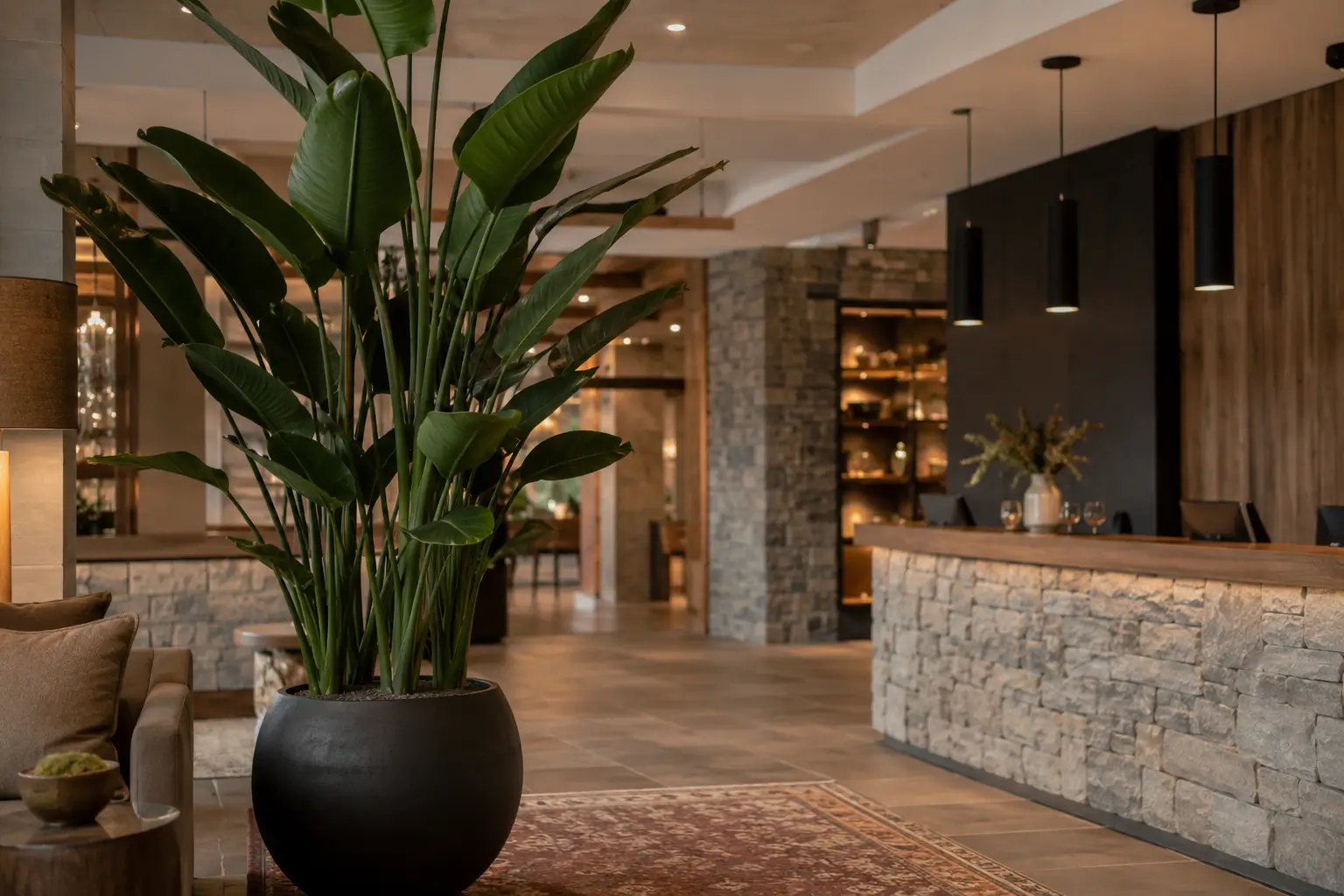 Hotel lobby plant care in Missoula