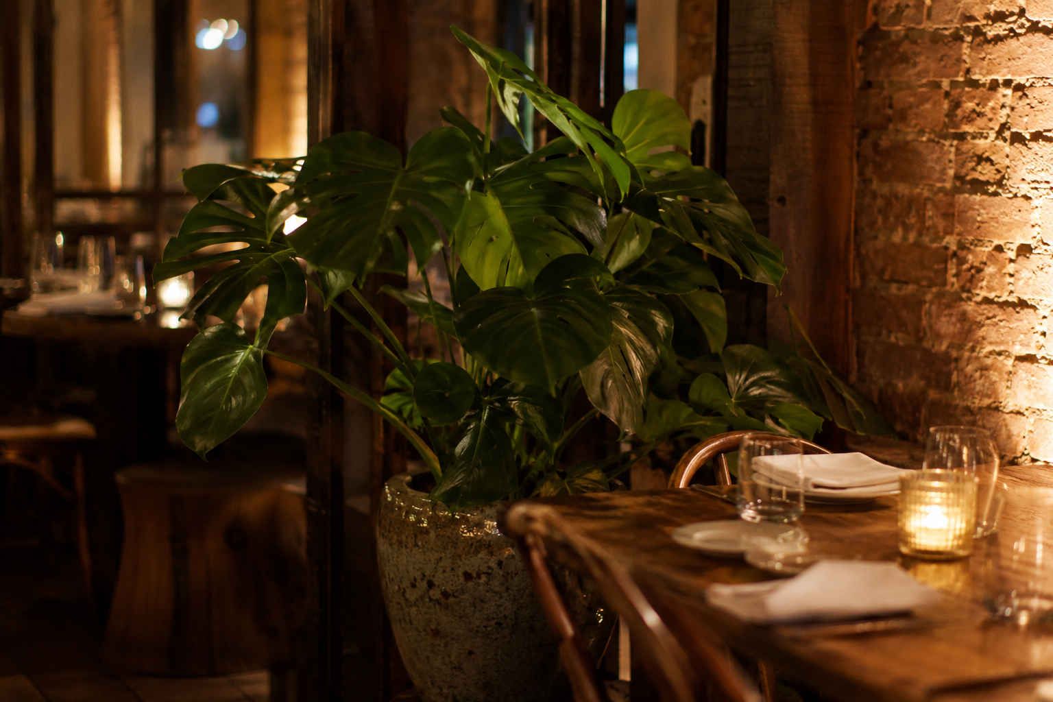 Lush monstera plant next to a candlelit dining table in a Missoula restaurant with exposed brick walls