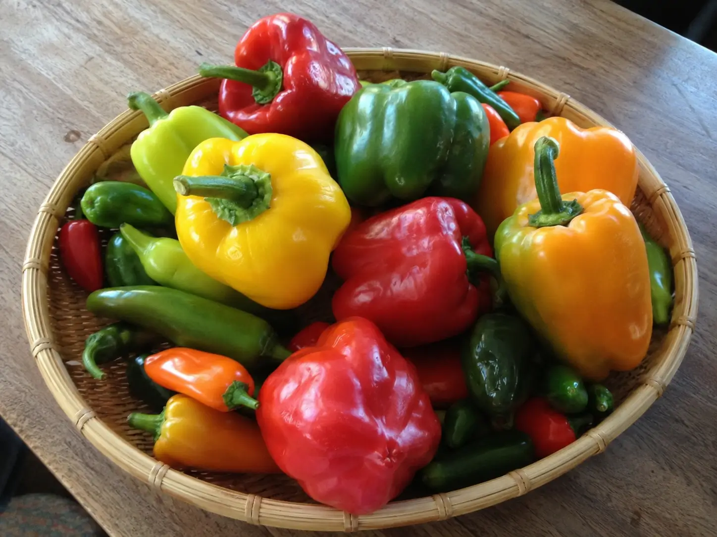 A basket of freshly picked red, yellow, orange, and green peppers and jalapenos from a Montana garden