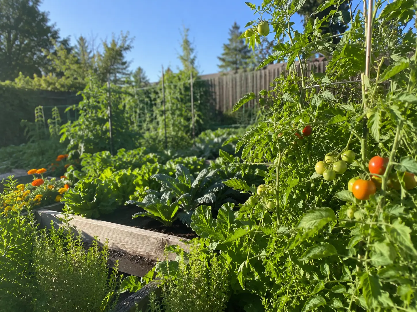 Gardening at High Altitude: What’s Different in Missoula